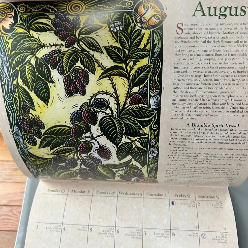New Llewelyn’s Witches' Calendar 2025